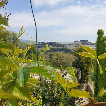 산레모 Casa Di Ingrida Bussana Vecchia 빌라 외부 사진