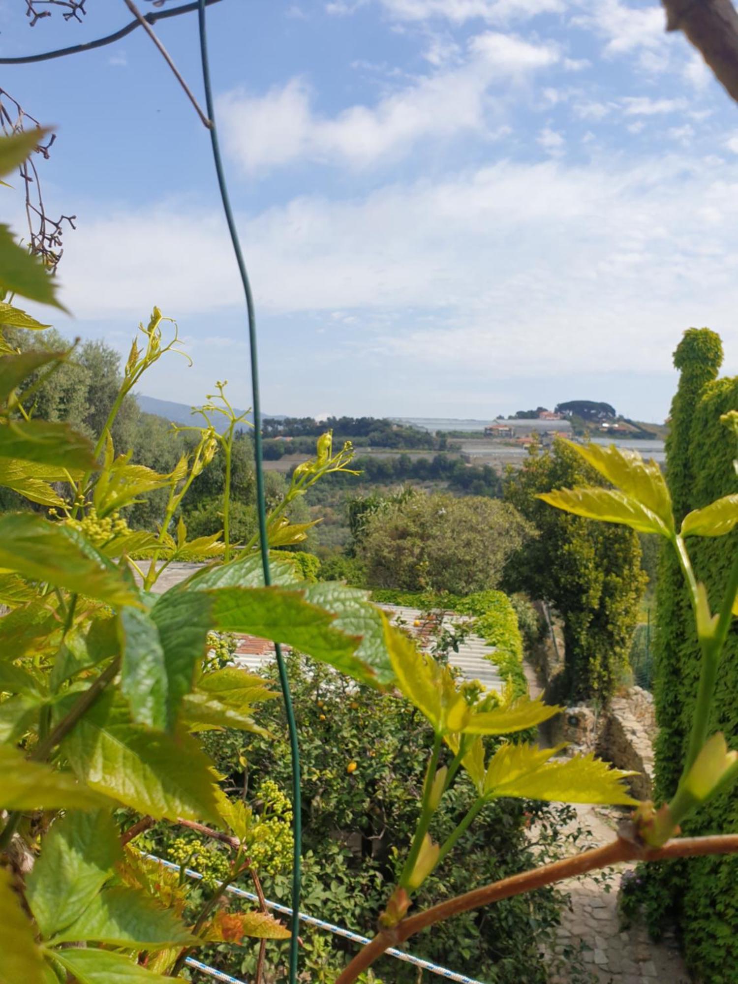 산레모 Casa Di Ingrida Bussana Vecchia 빌라 외부 사진